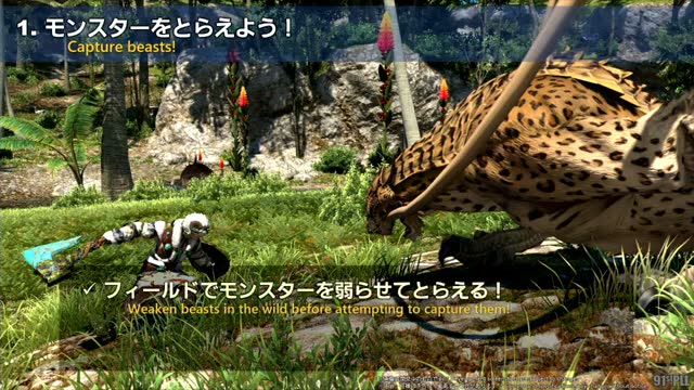 魔獣使い ゲームプレイ